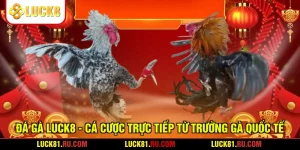 Đá Gà LUCK8 - Cá Cược Trực Tiếp Từ Trường Gà Quốc Tế